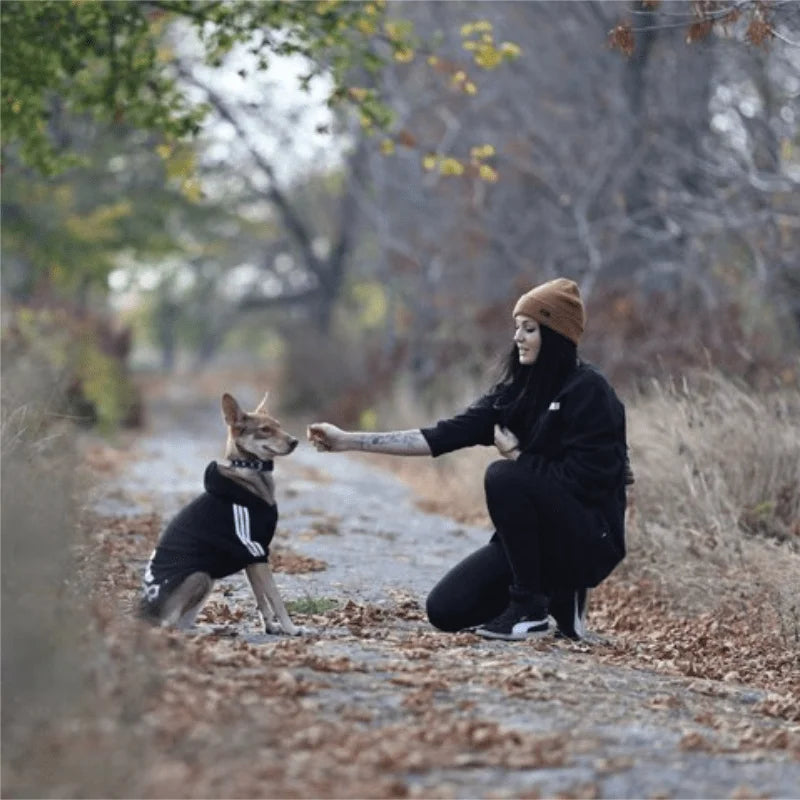 Adidog-Sudadera con capucha de algodón para perros pequeños