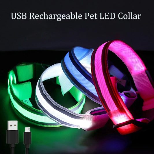 Collar de perro con batería recargable por USB, luz intermitente luminosa, LED reflectante de nailon, seguridad nocturna para gatos