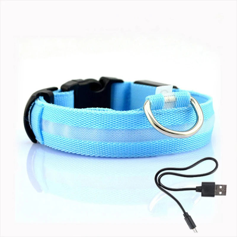 Collar de luz Led antipérdida para perros y cachorros, suministros luminosos para la noche, productos para mascotas, accesorios, carga USB/batería