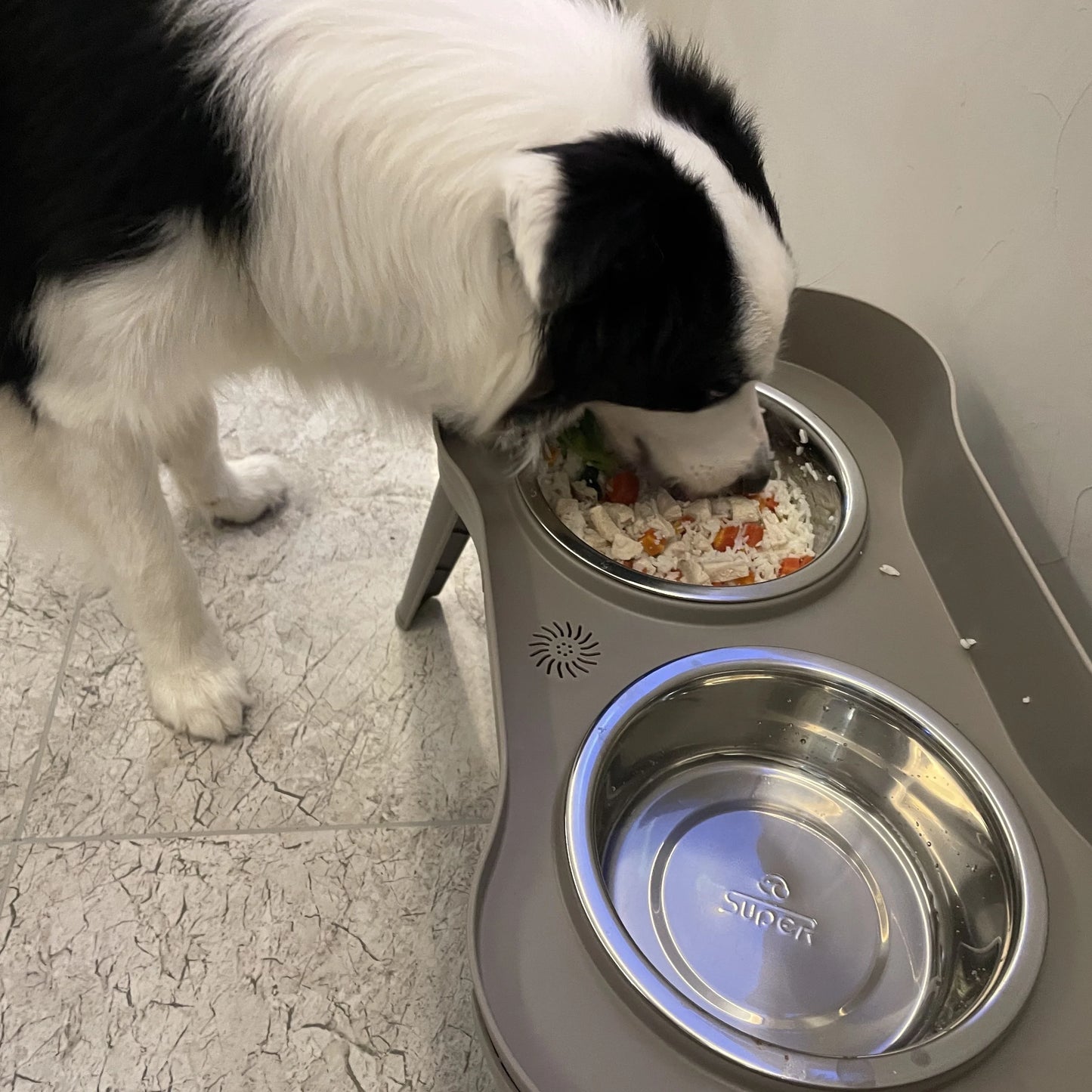 Cuencos elevados para perros grandes, medianos y pequeños, promueve la digestión saludable y la Alimentación cómoda