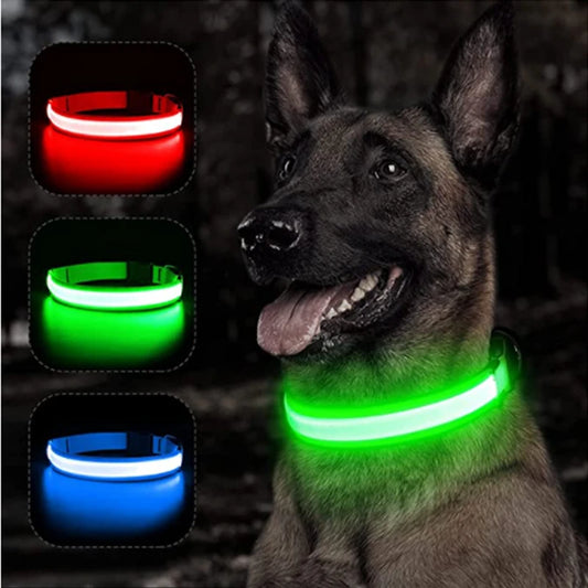 Collar luminoso recargable por USB para perros pequeños y grandes, Collar de seguridad para mascotas con luz nocturna y Led brillante ajustable