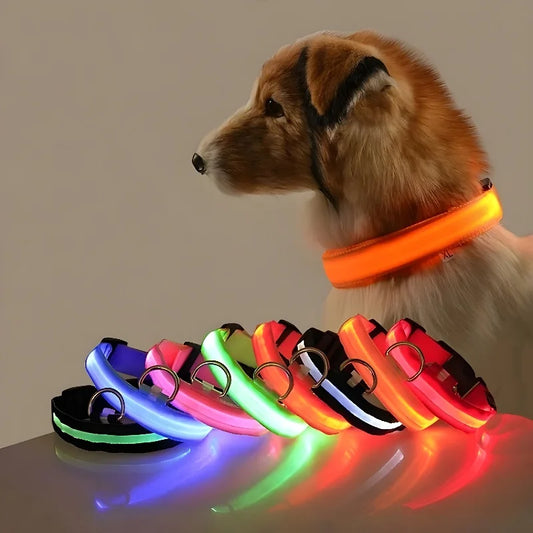 Collar de nailon con luz LED para perro, correa de seguridad nocturna intermitente que brilla en la oscuridad, accesorios fluorescentes luminosos para mascotas