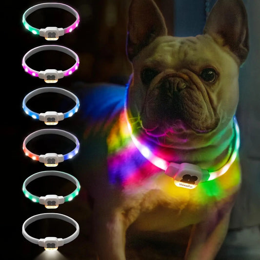 Collar de perro iluminado LED con USB recargable que brilla en la oscuridad Collar de perro impermeable con 6 modos de parpadeo para perros